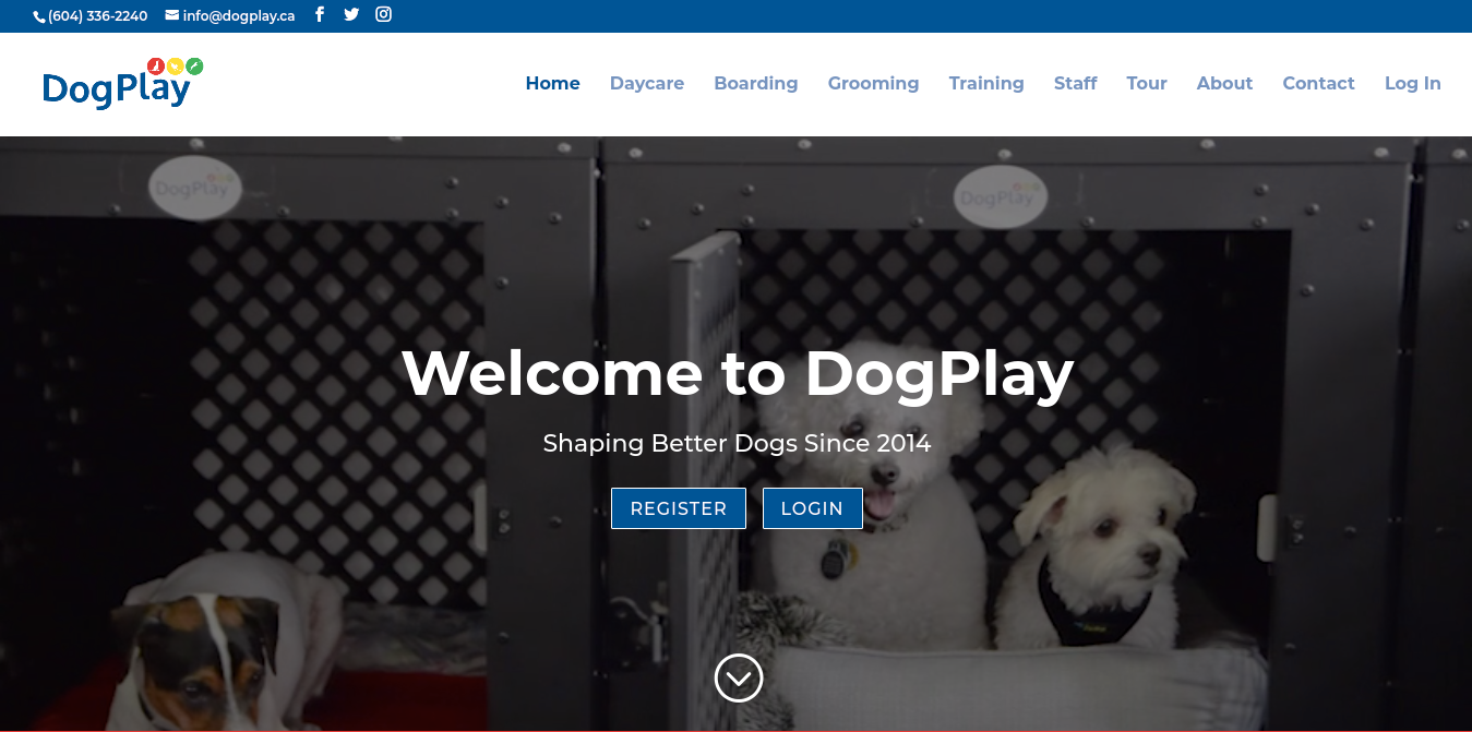DogPlay Website