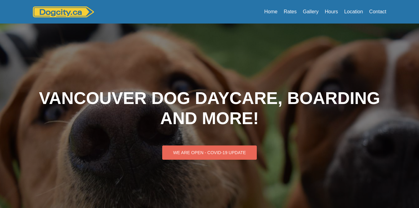 Dogcity Website