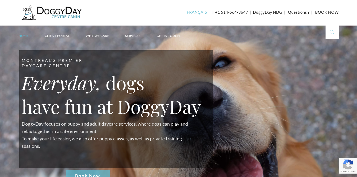 DoggyDay Website