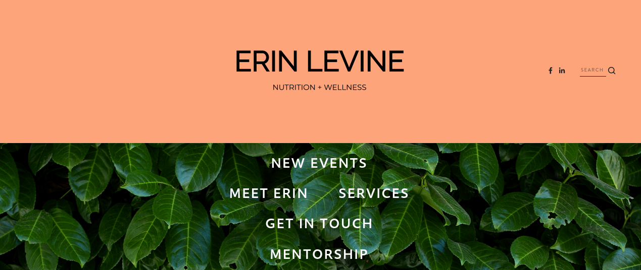 Erin Levine Website