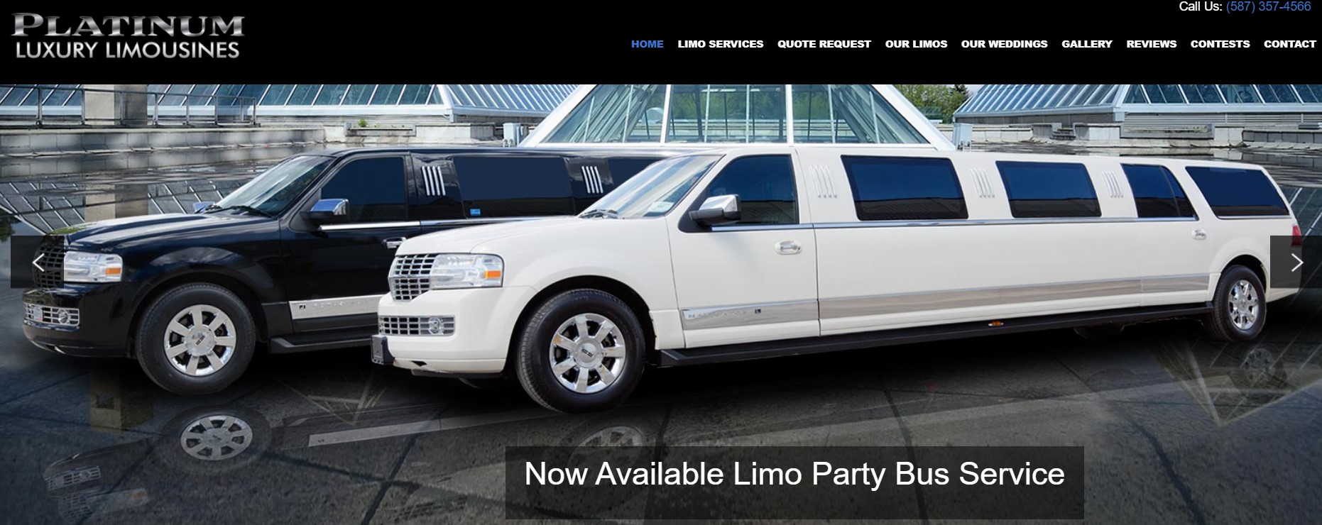 platinum limousine service in edmonton