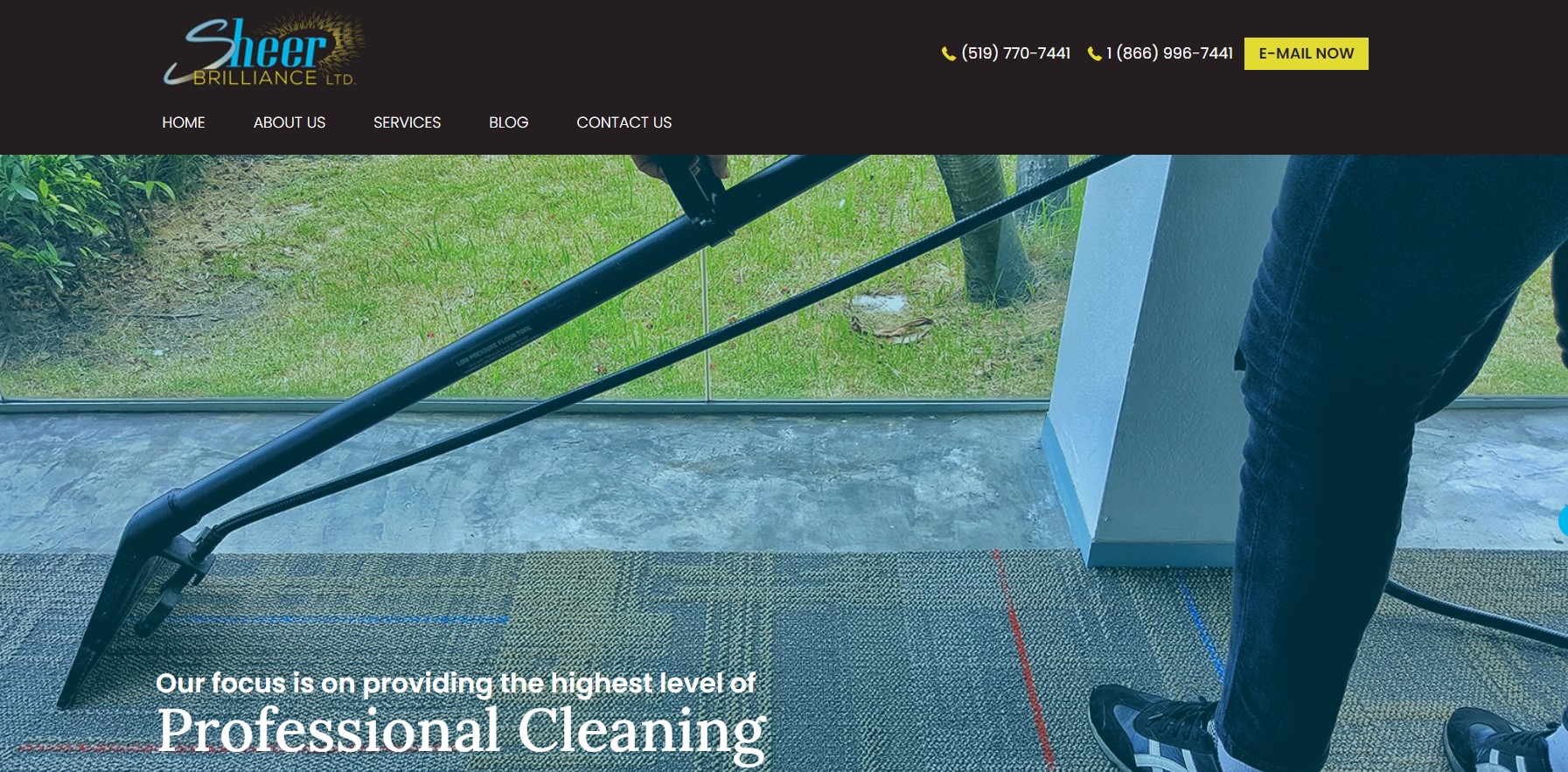 sheer brilliance carpet cleaning service in hamilton
