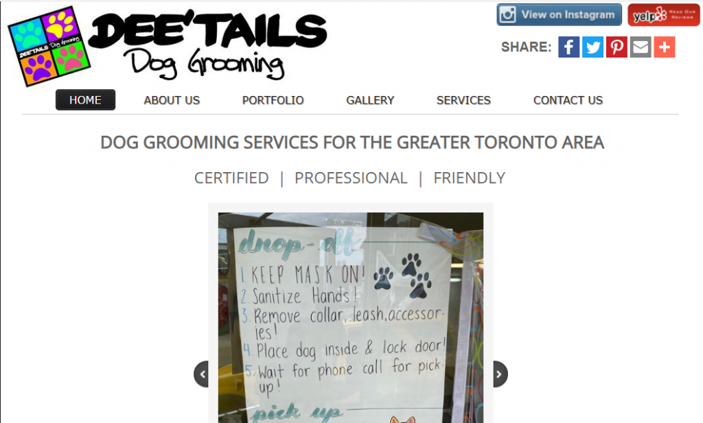 5 Best Dog Grooming in Toronto 🥇