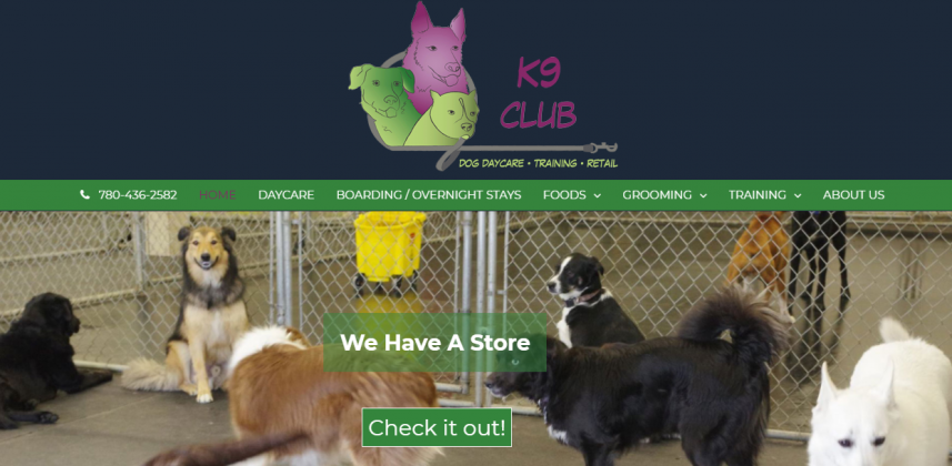 K9 Club Dog Daycare 857x420 