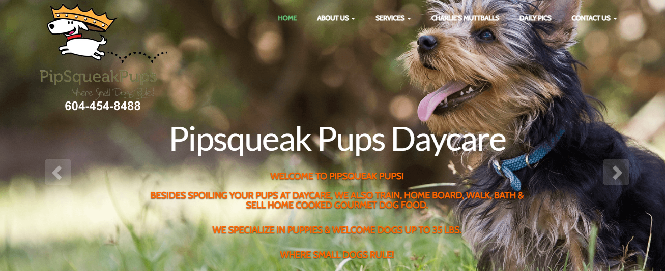Pipsqueak Pups Doggy Daycare & Boutique