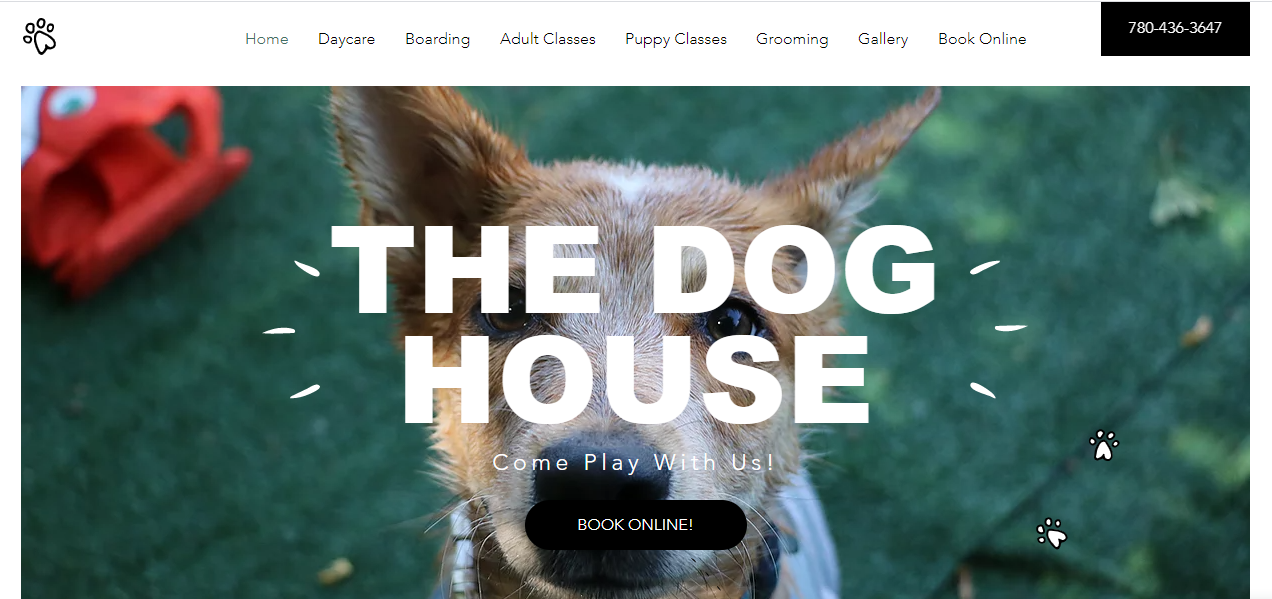 The Dog House Day Care
