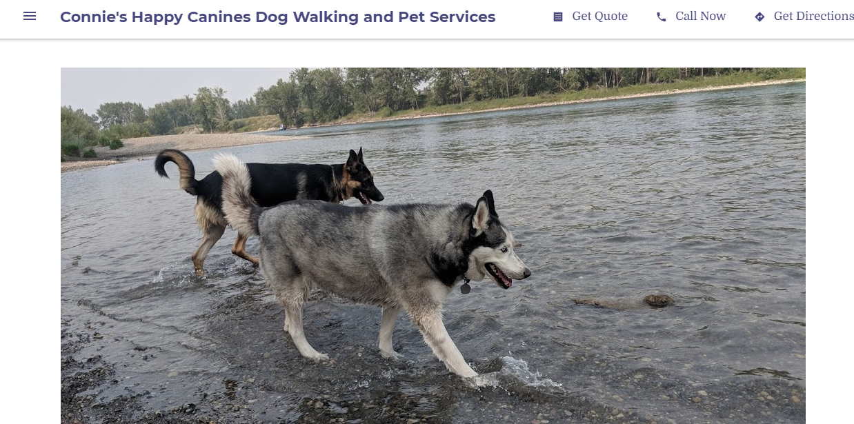 Connie's Happy Canines Promenades de chiens et services pour animaux de compagnie
