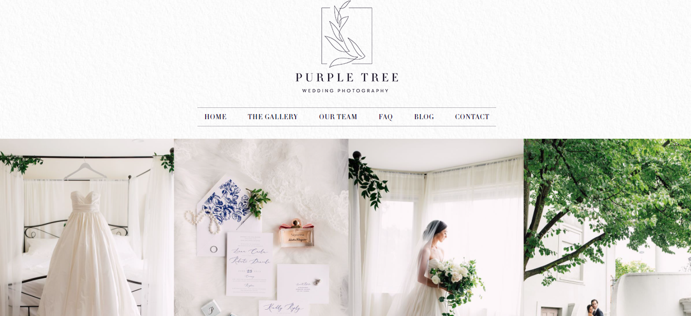 Photographie d'arbre violet