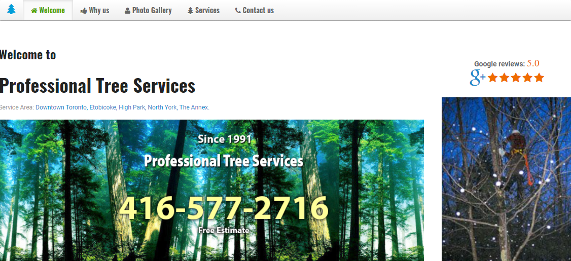 Services d'arbres professionnels