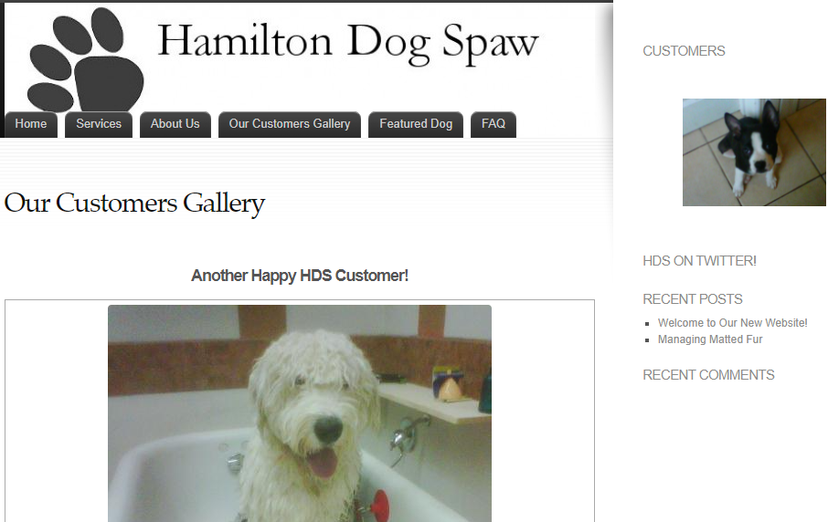 Hamilton Dog Spaw