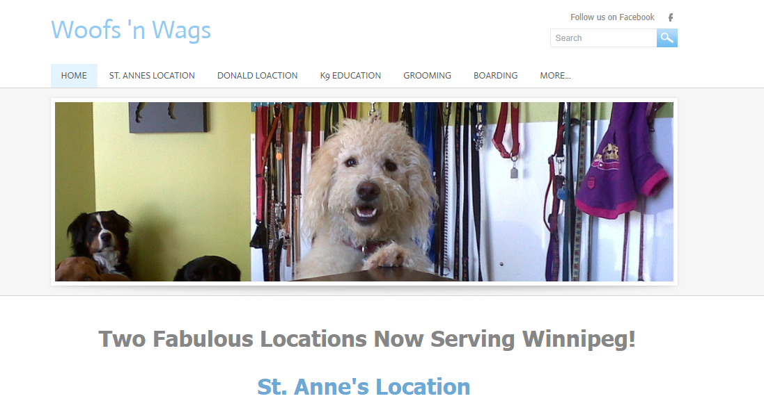 Woofs 'n Wags Dog Daycare