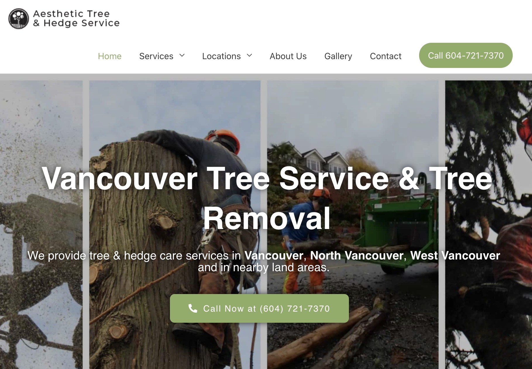 Aesthetic Tree & Hedge Services